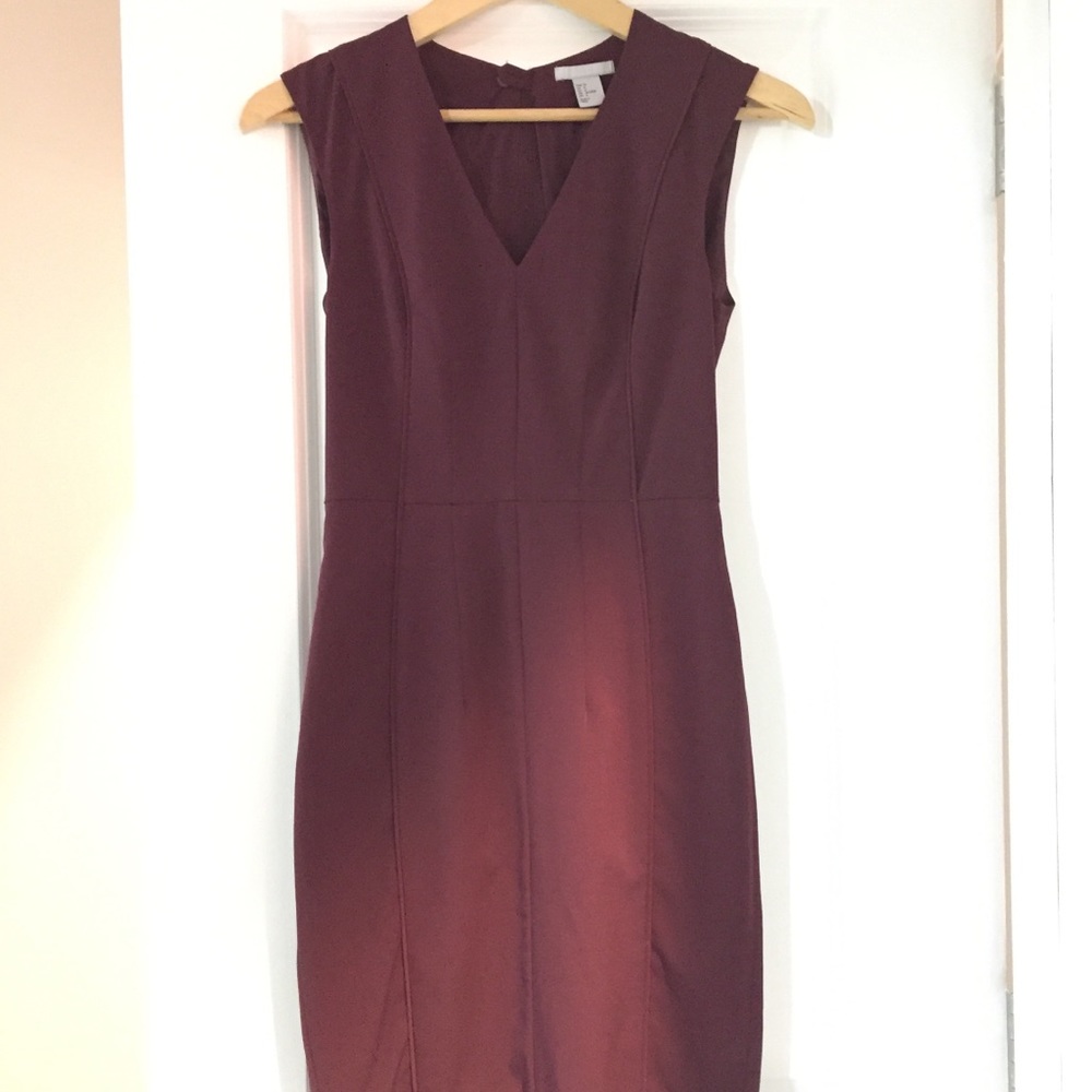 Plum H&M Dress